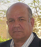 د.حسين الشافعى