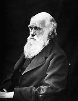 تشارلز داروين 
